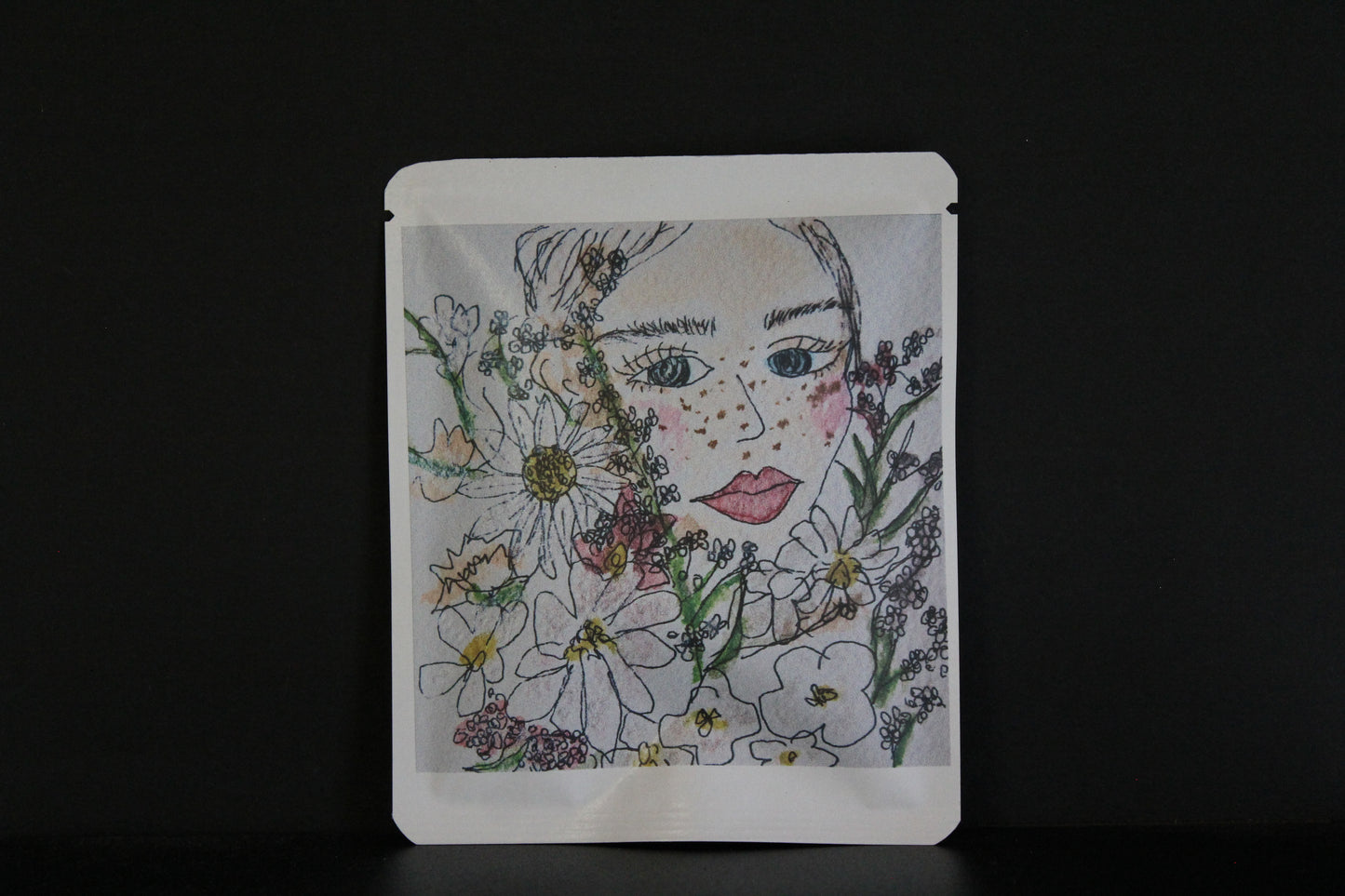 Proyek Seni DB 489 / Desain Shiraiyou