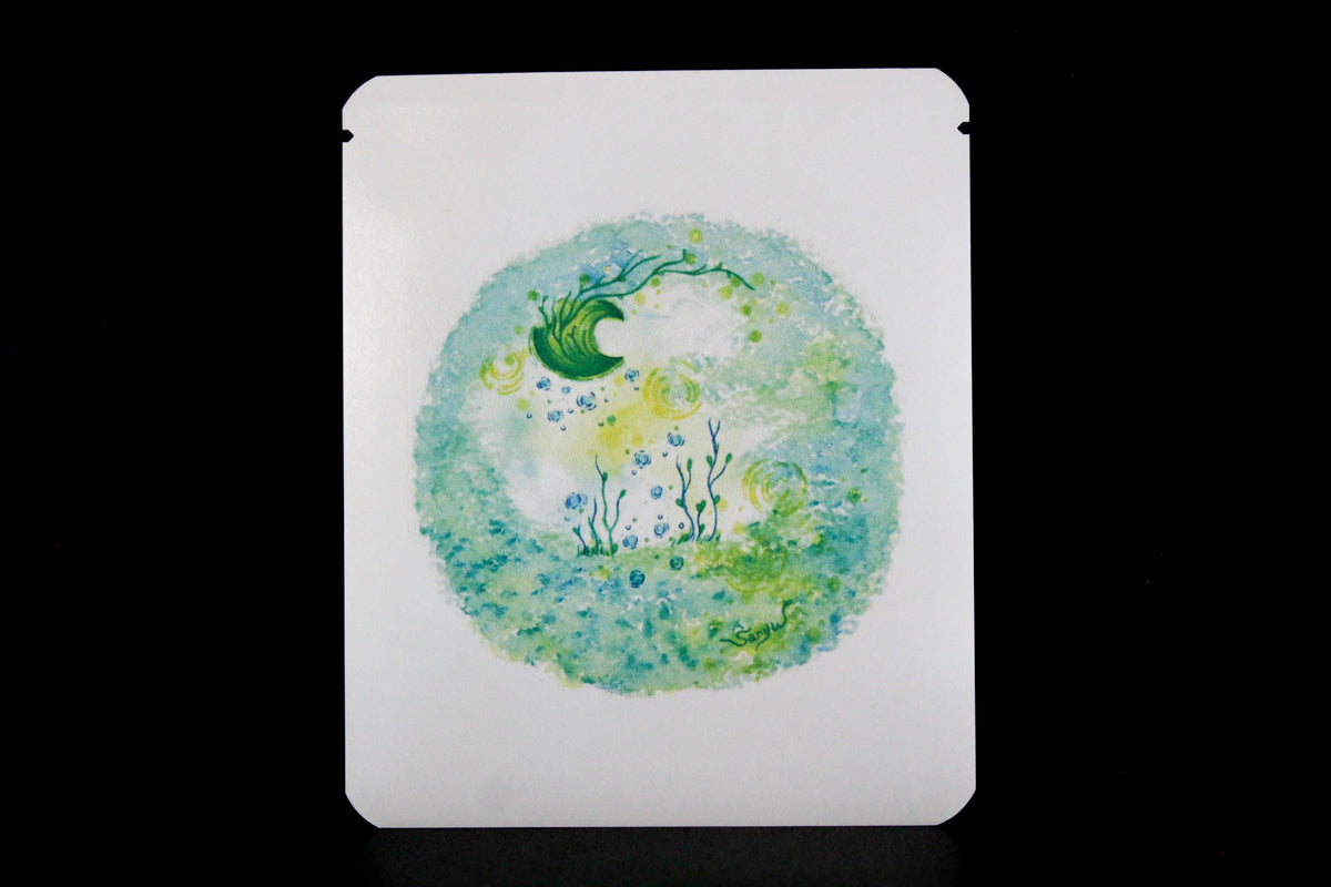 Proyek Seni DB 489 / Desain Shiraiyou