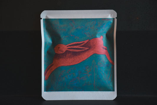 アートプロジェクトDB　中村あめかデザイン 105