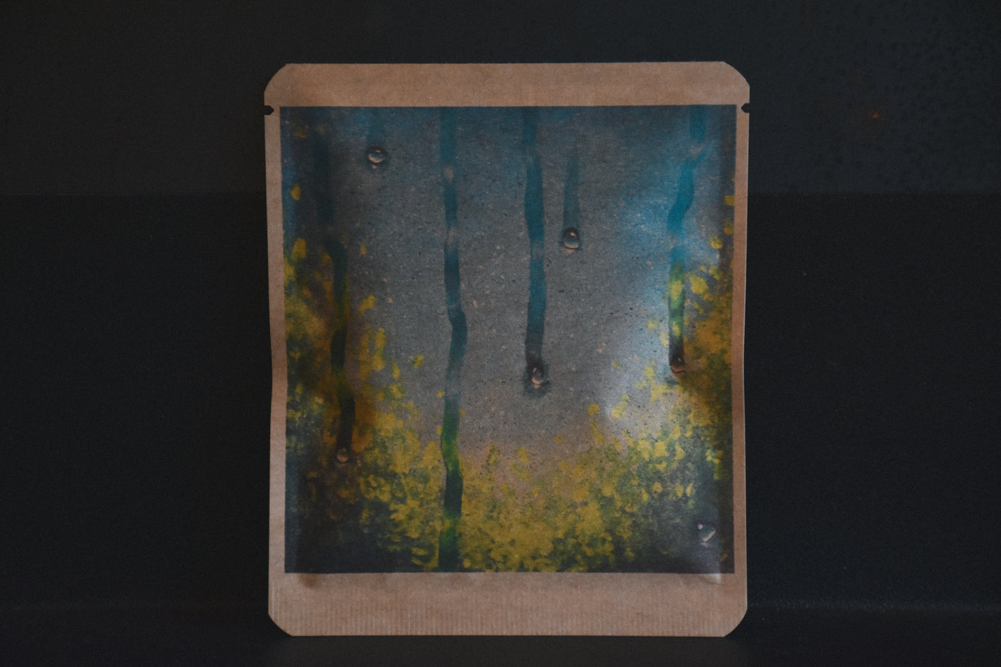 アートプロジェクトDB　ENAデザイン 70