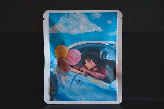 アートプロジェクトDB　Etlooper Chan-unoデザイン 88