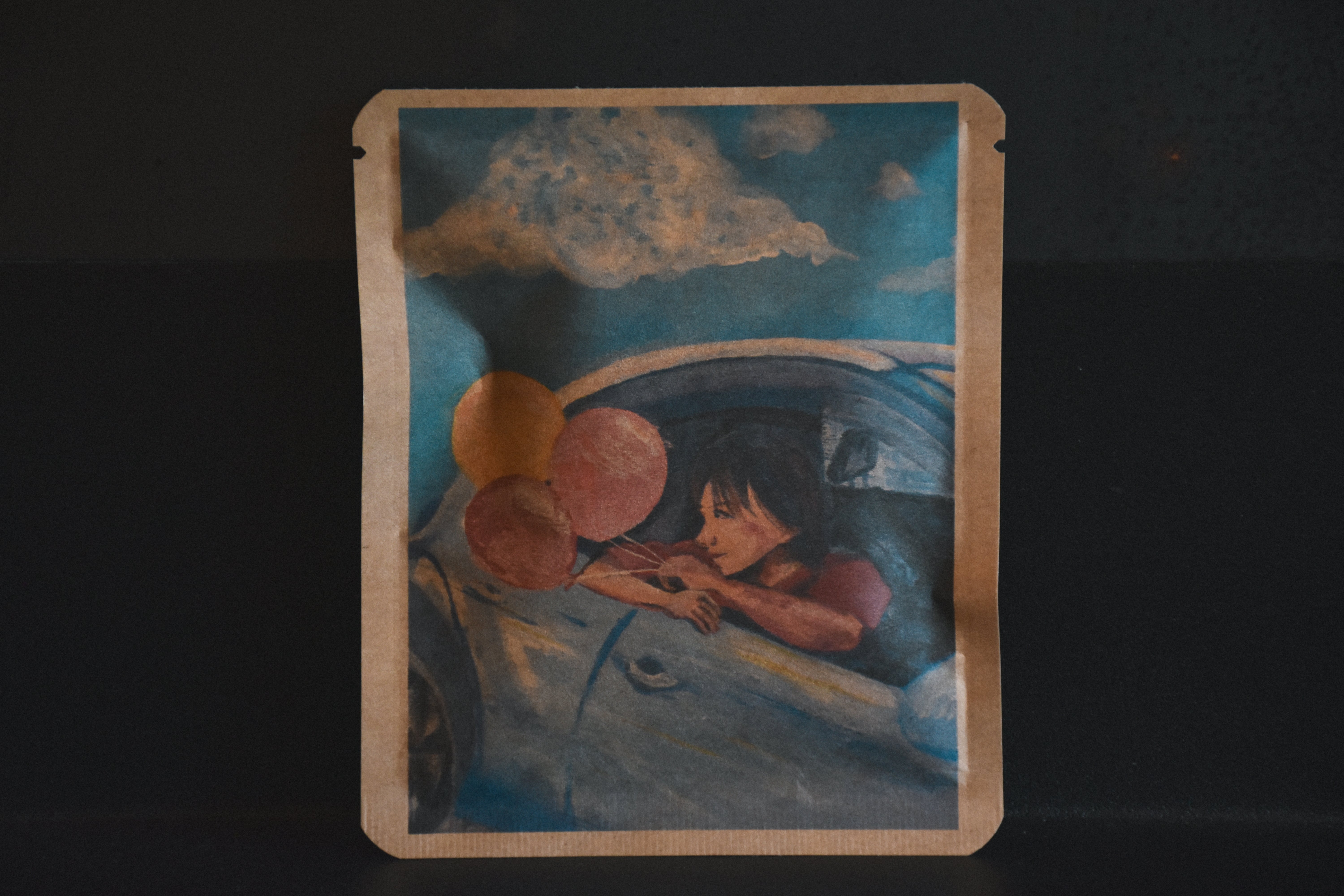 アートプロジェクトDB Etlooper Chan-unoデザイン 88 – みさご珈琲