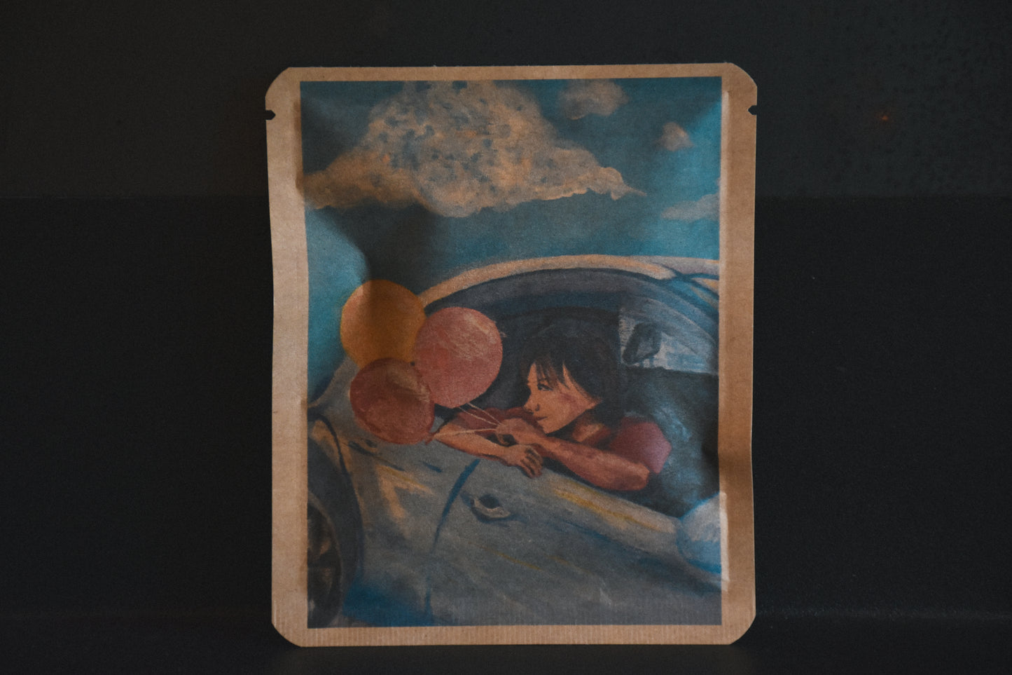 アートプロジェクトDB　Etlooper Chan-unoデザイン 88