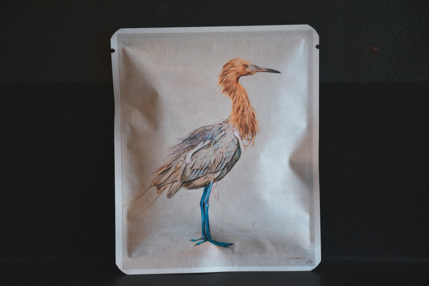 アートプロジェクトDB　Nobue Takahashi デザイン 83