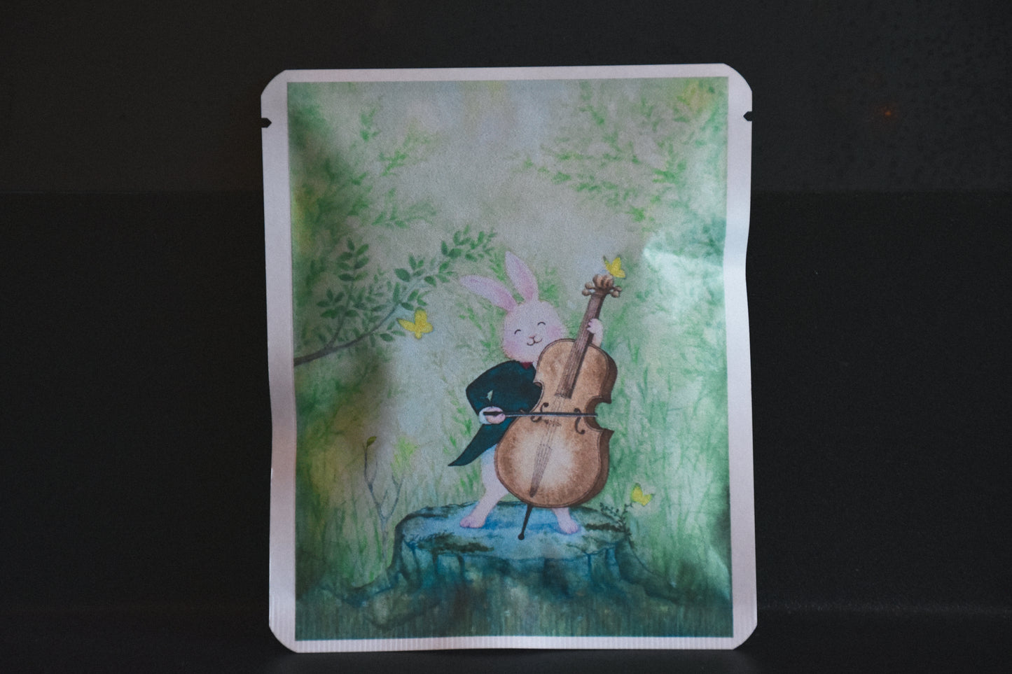 アートプロジェクトDB　とみづかくみこ デザイン 81