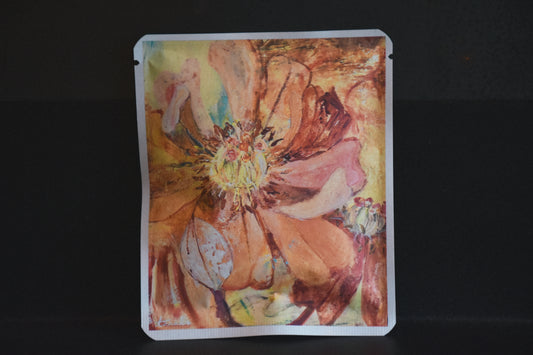 アートプロジェクトDB　tarakoデザイン 59