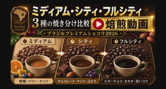 【数量限定】ブラジルプレミアムショコラ2026の３種焼き分け焙煎教習動画＆参考用講師焙煎豆付き